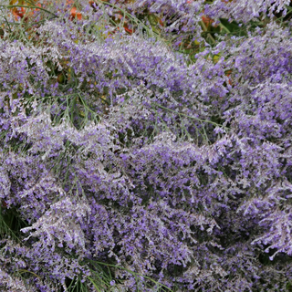 Zone 3