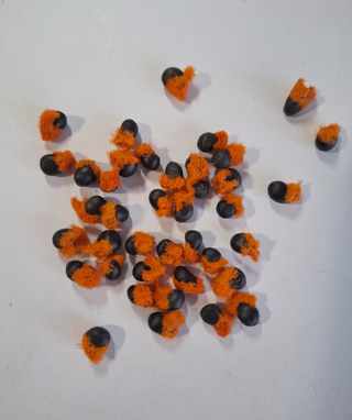 When to Plant Bird of Paradise Seeds: Ultimate Guide for Success