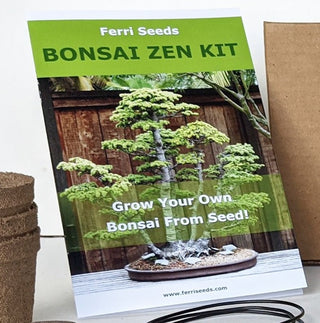 Bonsai Tree Booklet