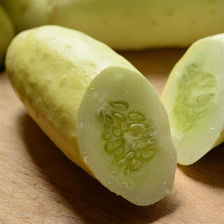 Cucumis sativus <br>CUCUMBER EARLY WHITE <br>No peel!