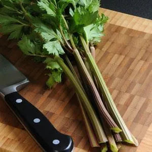 Apium graveolens <br>CELERY STICK