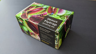 Venus Flytrap Giant Forms <br>Dionaea muscipula <br>Beginner's carnivorous growing kit