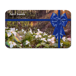 Ferri Seeds Gift Card, Gift Certificate