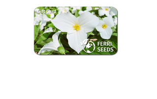 Ferri Seeds E-Gift Card, E-Gift Certificate