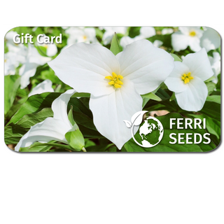 Ferri Seeds E-Gift Card, E-Gift Certificate