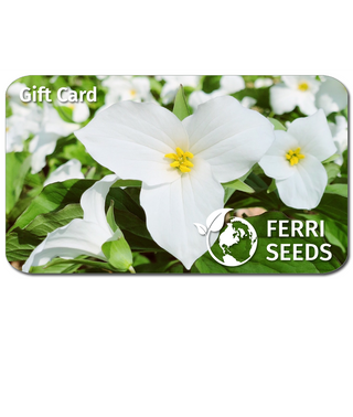 Ferri Seeds E-Gift Card, E-Gift Certificate