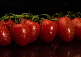 Solanum lycopersicum <br>JULIET TOMATO