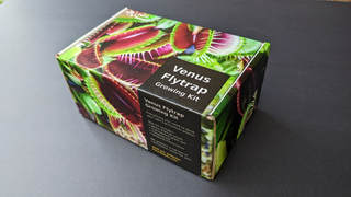 Venus Flytrap Giant Forms <br>Dionaea muscipula <br>Beginner's carnivorous growing kit