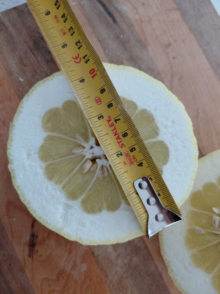 Citrus × pyriformis <br>LEMON PONDEROSA, Skierniewice Lemon
