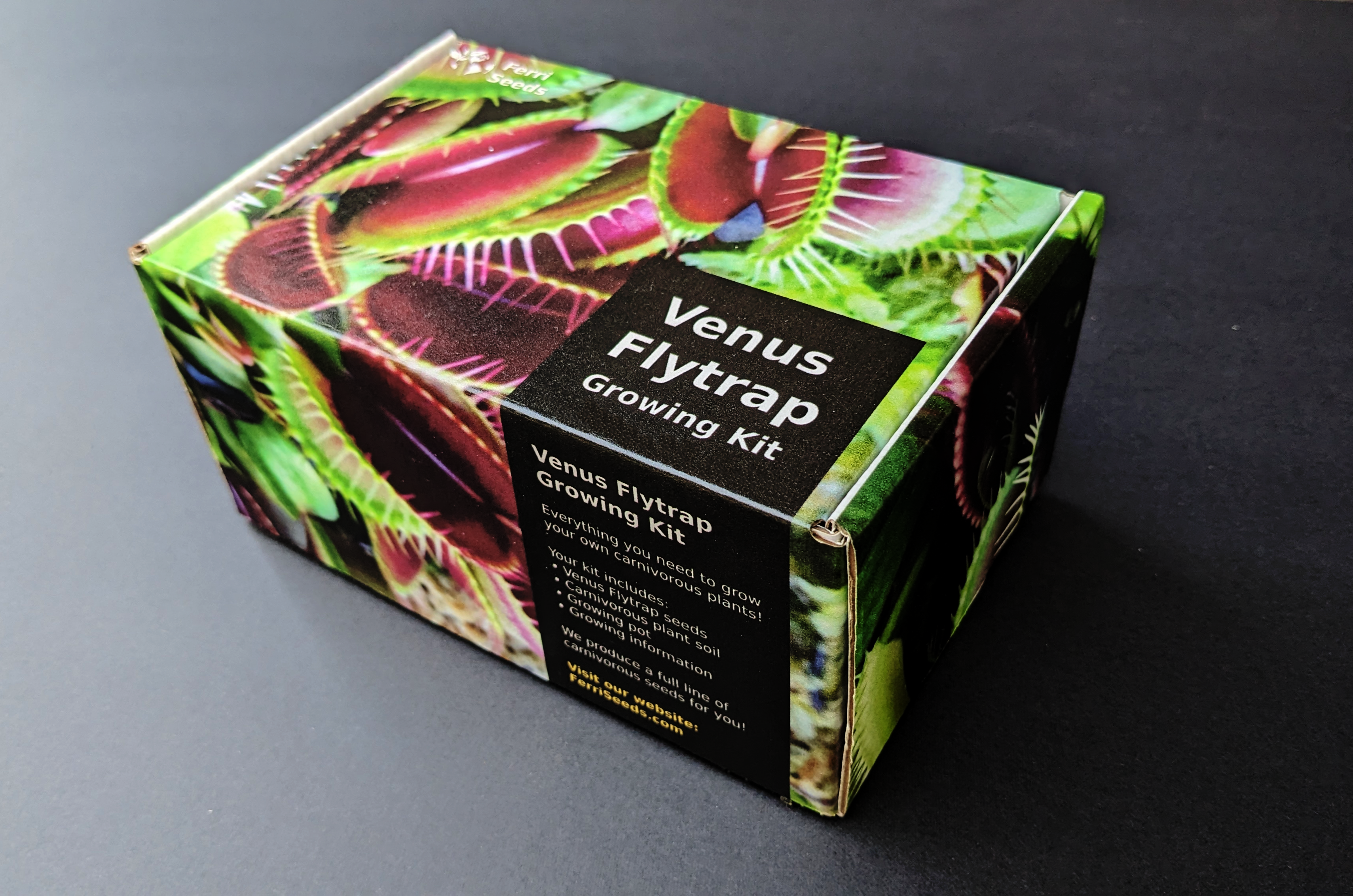 fly trap plant seeds Giant Venus Flytrap Beginner's carnivorous growing kit – Ferri Seeds