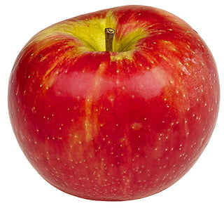Malus hybrida <br>HONEYCRISP APPLE <br>Organic
