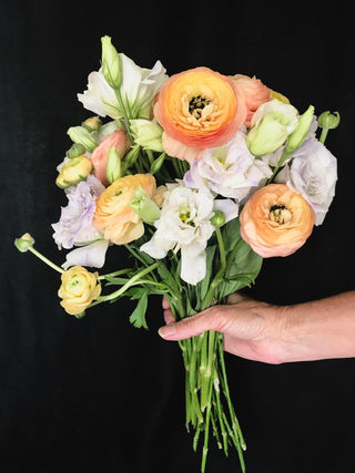 Ranunculus <br>RANUNCULUS CUTFLOWER MIX