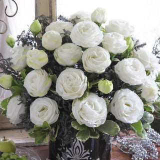 Eustoma grandiflorum <br>LISIANTHUS CUPID WHITE