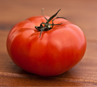 BEEFSTEAK TOMATO <br>Solanum lycopersicum