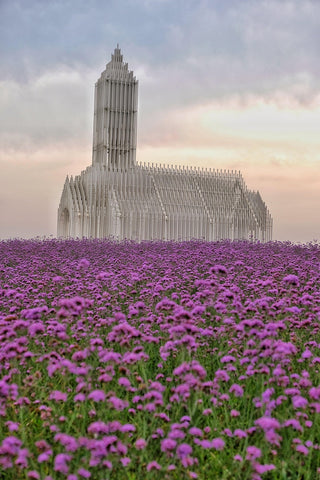 Verbena bonariensis <br>TALL VERBENA, PURPLETOP VERVAIN, BRAZILIAN