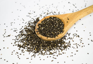 Salvia hispanica <br>CHIA SEED