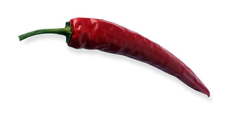 Capsicum annuum <br>CAYENNE CHILE PEPPER