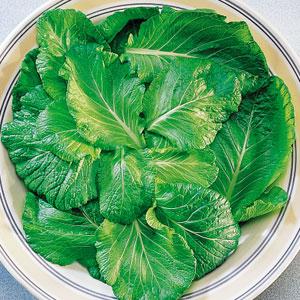 Brassica juncea <br>MUSTARD FLORIDA BROADLEAF