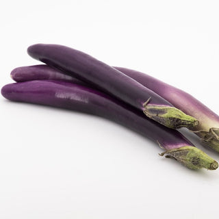 Solanum melongena <br>ORIENT EXPRESS EGGPLANT