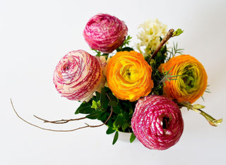 Ranunculus <br>RANUNCULUS CUTFLOWER MIX