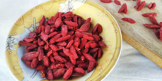 Lycium chinense <br>GOJI BERRY WOLFBERRY