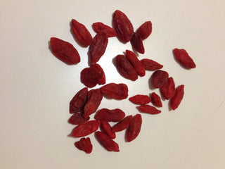 Lycium chinense <br>GOJI BERRY WOLFBERRY