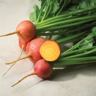 Beta vulgaris <br>BEETS GOLD COLOURED