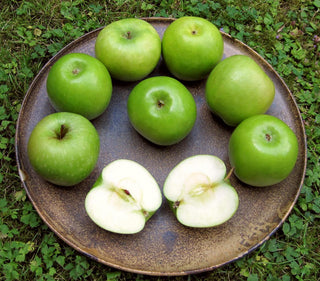 Malus <br>GRANNY SMITH APPLE <br>Grown without Chemicals/Pesticides