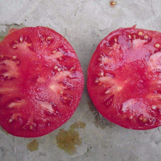 PRUDENS PURPLE TOMATO Organic Heirloom <br>Solanum lycopersicum
