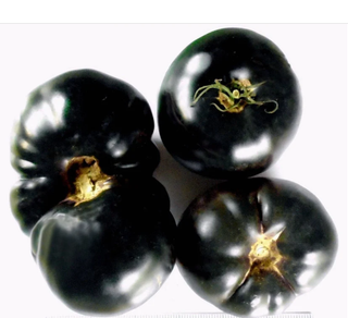 Solanum lycopersicum <br>BLACK BEAUTY TOMATO