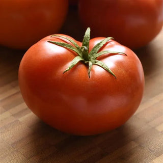 Solanum <br>LOKI TOMATO