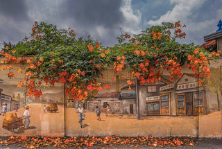 Campsis radicans <br>TRUMPET CREEPER VINE