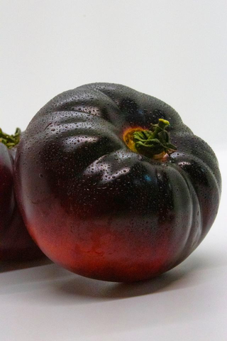Solanum lycopersicum <br>INDIGO ROSE TOMATO <br>Heirloom