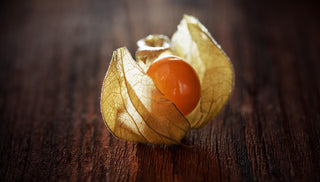 Physalis peruviana <br>PERUVIAN GROUNDCHERRY, GOOSEBERRY Husk Cherry