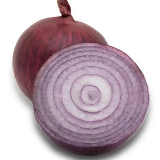 Allium cepa <br>ONION RED MARLEY