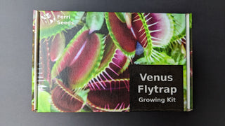 Venus Flytrap Giant Forms <br>Dionaea muscipula <br>Beginner's carnivorous growing kit