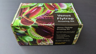 Venus Flytrap Giant Forms <br>Dionaea muscipula <br>Beginner's carnivorous growing kit