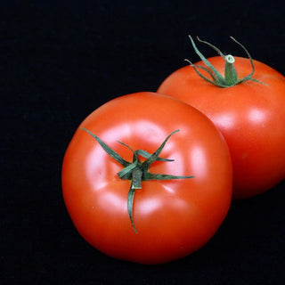 Solanum lycopersicum <br>TOMATO BEEFSTEAK 'ST PIERRE'