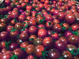 Solanum lycopersicum <br>TOMATO SWEET BLACK CHERRY