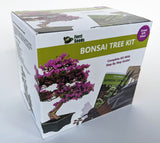 DELUXE BONSAI KIT! Everything You Need To Grow Your Own Bonsai Trees!
